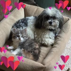 Meet your Posher, Debbie